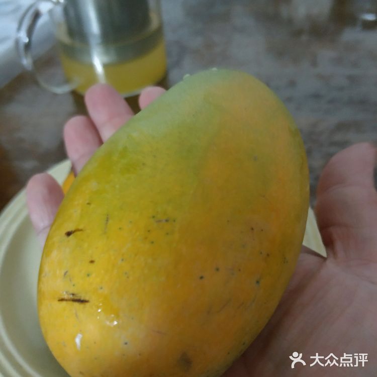 云南西双版纳老品种小芒果