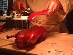 -秀儿四九城·新京菜(亚运村鸟巢店)