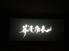 -华美影城(马栏广场店)