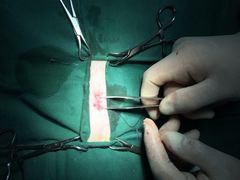 -安安宠医·安宠宠物医院