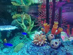 -沈阳海洋探索中心