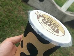 -瑞穗牧场