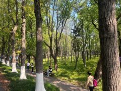 -嘉北郊野公园