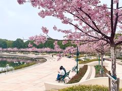 -新江湾城公园