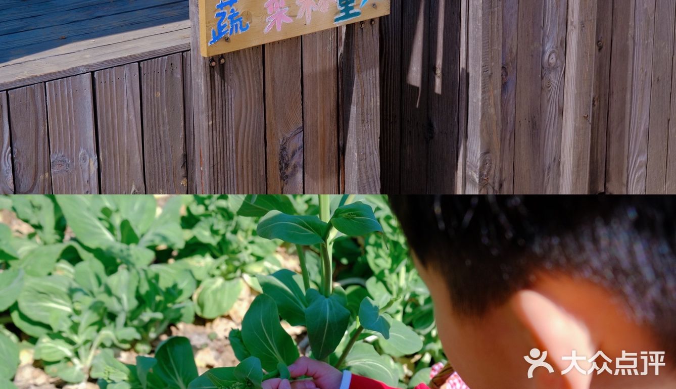 这样一个地方、简直太爱了，风景、孩子，欢乐，都齐了