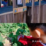 这样一个地方、简直太爱了，风景、孩子，欢乐，都齐了