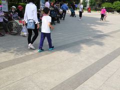 -古城公园