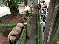 -昆明动物园
