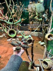 -Zoolung Zoolung动物主题公园(海信广场店)