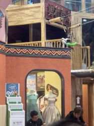 -卡通尼·Safari非洲探索乐园·生日会(金桥国际商业广场店)