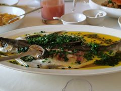 葱油蒸白水鱼-玫瑰厅上海菜(兴国路店)