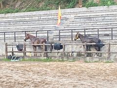 -龙凤山庄影视度假村