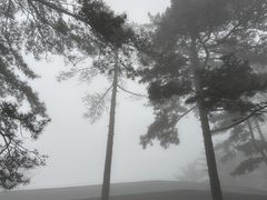 -安徽天堂寨风景区