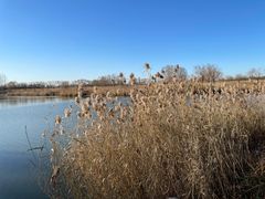 -大兴滨河森林公园