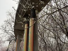 -桃花堤公园