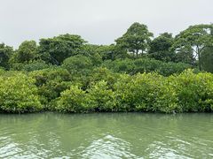 -东寨港红树林旅游区