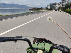 -大理洱海