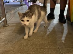 -蒲黄榆(地铁站)