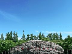-上海海湾国家森林公园