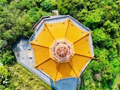 -深圳市中科院仙湖植物园
