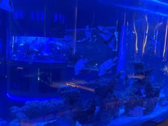 -上和臻品中国菜(花园街店)