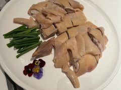 -新兴·金羊座·粤菜点心(乐峰店)