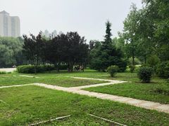 -望湖公园