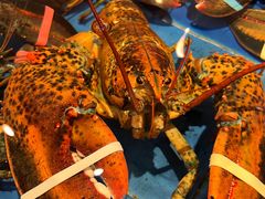 -鹏天阁酒楼·海鲜(红旗店)