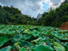 -丹霞山风景名胜区