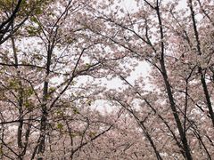 -龙美术馆西岸馆-停车场