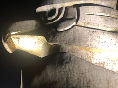 -大金鹰园