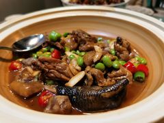 -九朝会昆曲·宴(望京店)