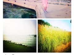 -太湖湖滨国家湿地公园-停车场