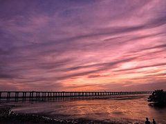 -宝安西湾红树林湿地公园