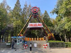 -上海滨江森林公园