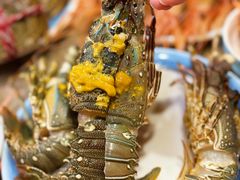 -亚马逊蒸汽活海鲜自助(LCM置汇旭辉广场店)