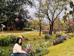 -人民公园(罗湖区)