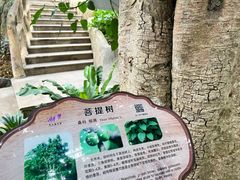 -南山植物园