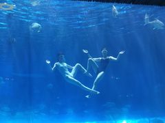 -华夏文旅海洋公园