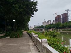 -光明港公园