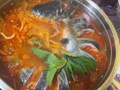 -弘烨 贵州酸汤 鱼火锅(东财店)