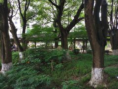 -绳金塔