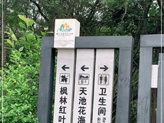 -广州市石门国家森林公园