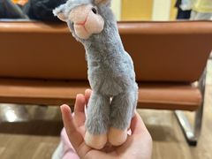 -天津大学爱尔眼科医院(天津总院)