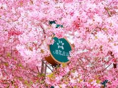 -白沙门生态公园