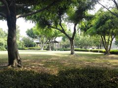 -河泥荡文化公园