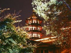 -绳金塔