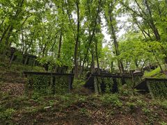 -栾川竹海野生动物园