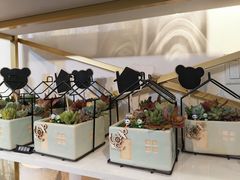 -花未央花店·WEYOUNG