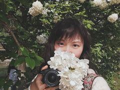 -漕湖湿地公园